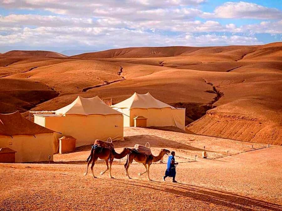 From Marrakech : Agafay Desert Sunset Dinner with Camel Ride - Berber Music and the Fire Show