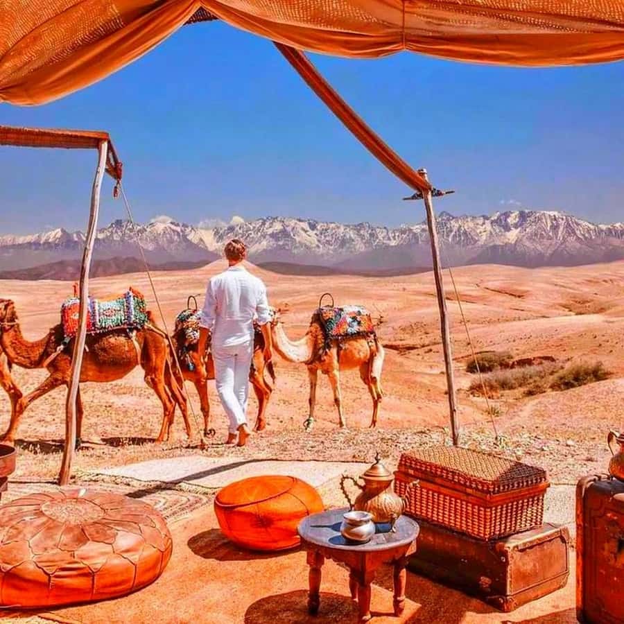 From Marrakech: Agafay Desert Sunset Dinner with Live Show - Mint tea and sunset set the evening’s pace