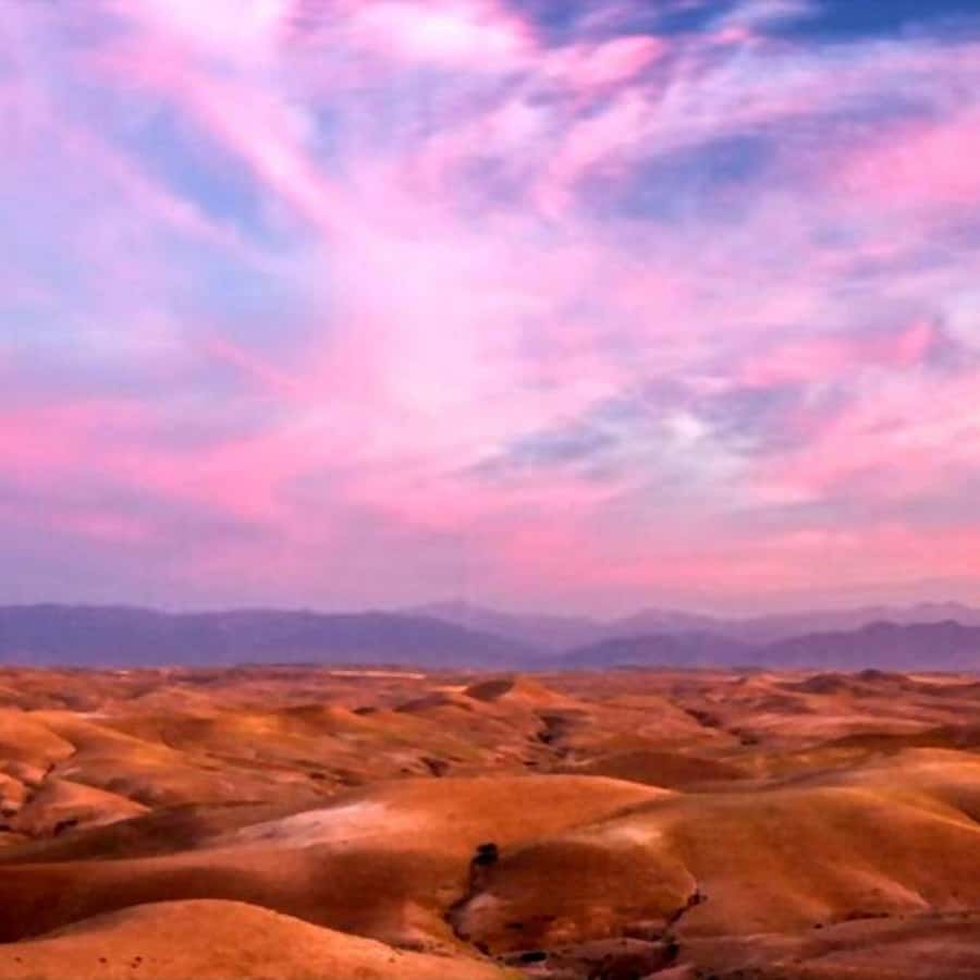 From Marrakech: Agafay Desert Sunset Dinner with Live Show - Is $27 good value?