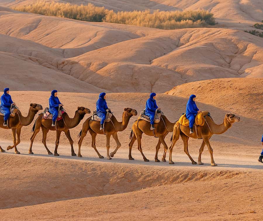 From Marrakech: Agafay Sunset Camel Tour with Dinner & Show - The Lalla Takerkoust stop and the first pause