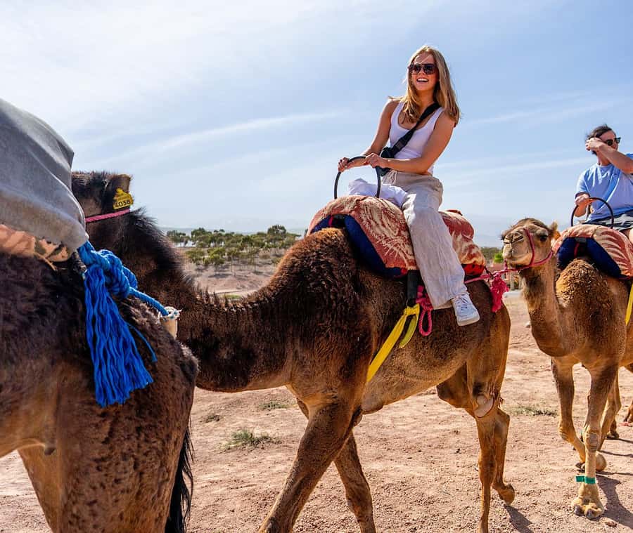 From Marrakech: Agafay Sunset Camel Tour with Dinner & Show - Two music groups and a cirque-style fire show