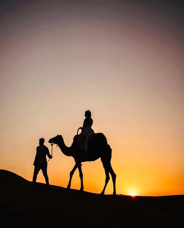 From Marrakech: Agafay Sunset Camel Tour with Dinner & Show - Should you book it?