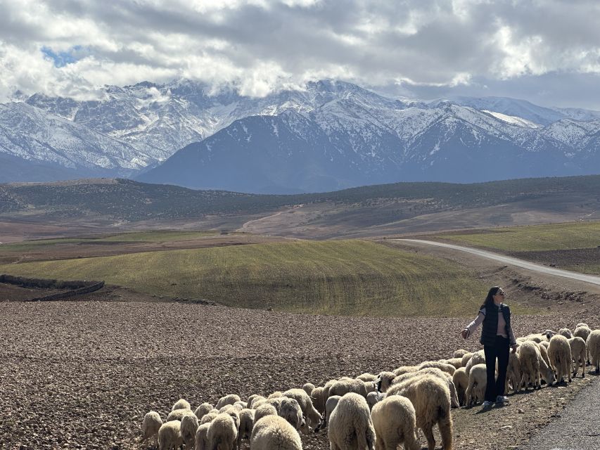 From Marrakech: Atlas Mountains 4-Day Hike with Hotels - What the $176 price really covers