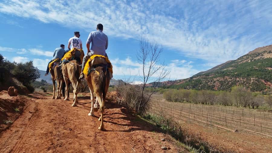 From Marrakech: Atlas Mountains 45-Minute Horseback Ride - Leaving Marrakech for Tahnaout