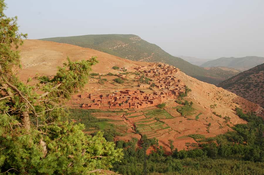 From Marrakech: Atlas Mountains 45-Minute Horseback Ride - Forty-five minutes on horseback near the Atlas foothills