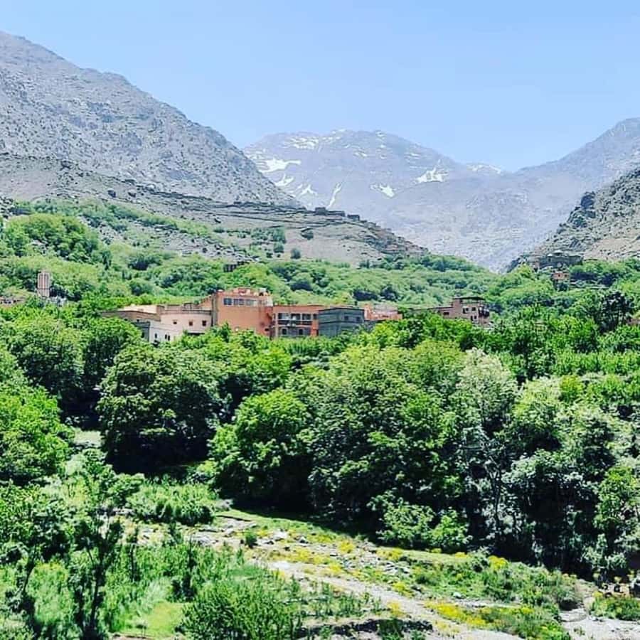 From Marrakech: Atlas Mountains and Berber Village Day Trip - Is $53 good value?