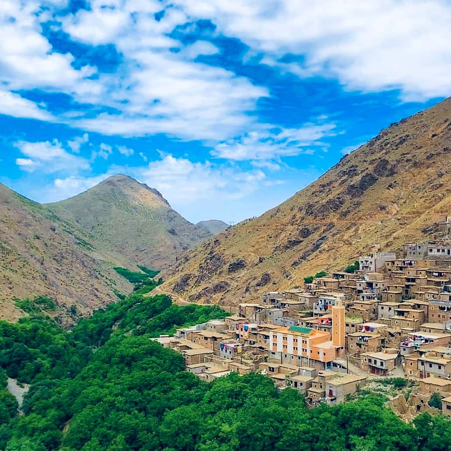 From Marrakech: Atlas Mountains and Berber Village Day Trip - Tizi n’Tamatert and the mountain viewpoints