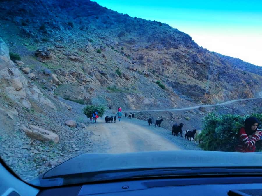 From Marrakech: Atlas Mountains and Three Valleys Day Trip - What the $28 price really gives you