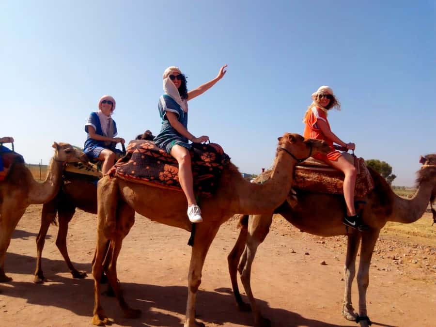From Marrakech: Atlas Mountains and Three Valleys Day Trip - Argan oil, Azrou, and a look at local work