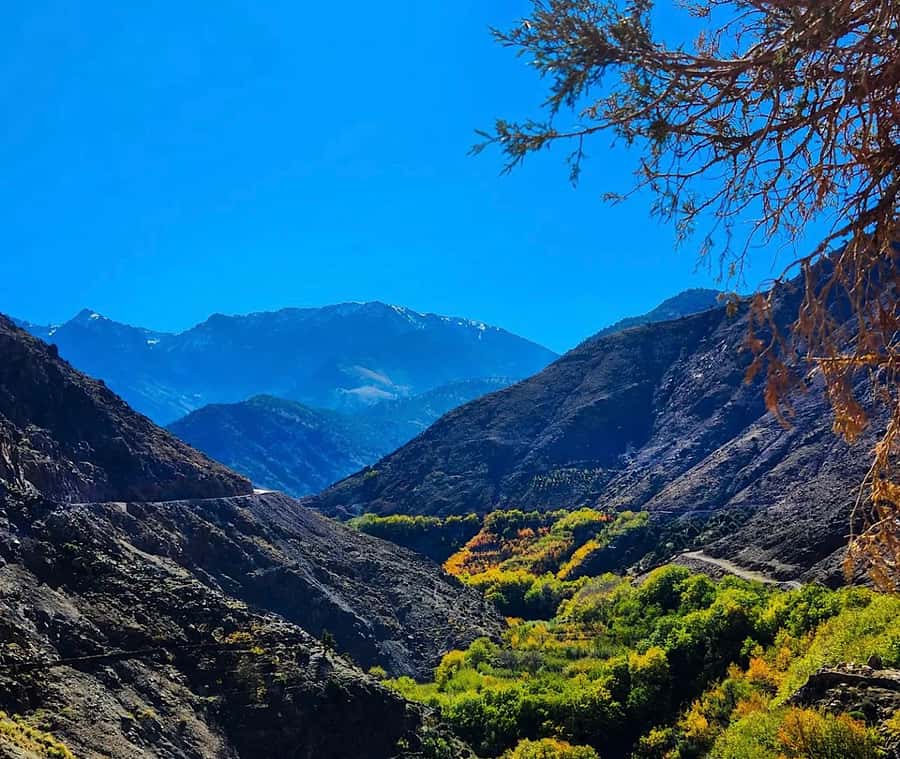 From Marrakech: Atlas Mountains Day Trip with Camel Ride - Who will enjoy this day most?