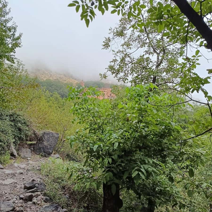From Marrakech: Atlas Mountains Summit Trek - Guides, group size, and the human touch