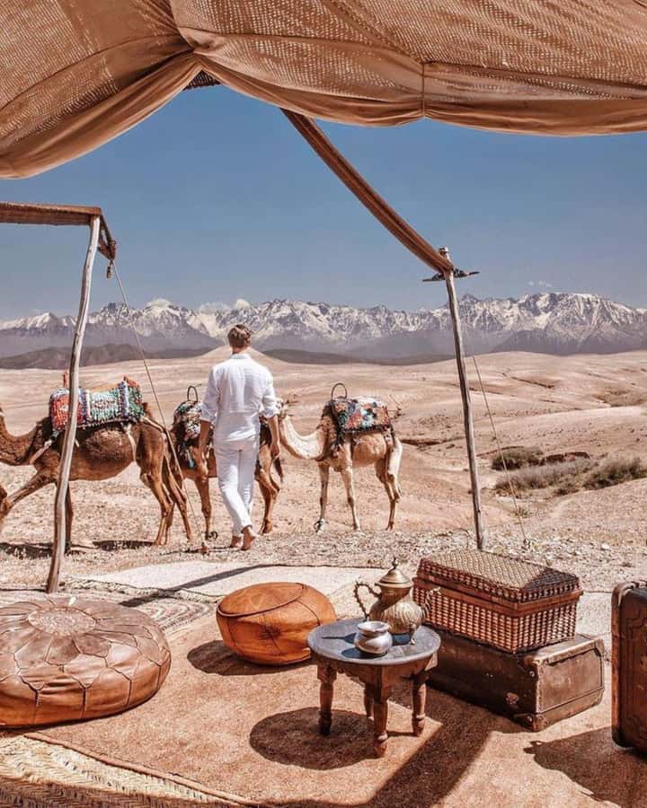 From Marrakech: Camel, Quad Bike Tour, Sunset, Dinner & Show - Agafay instead of the Sahara