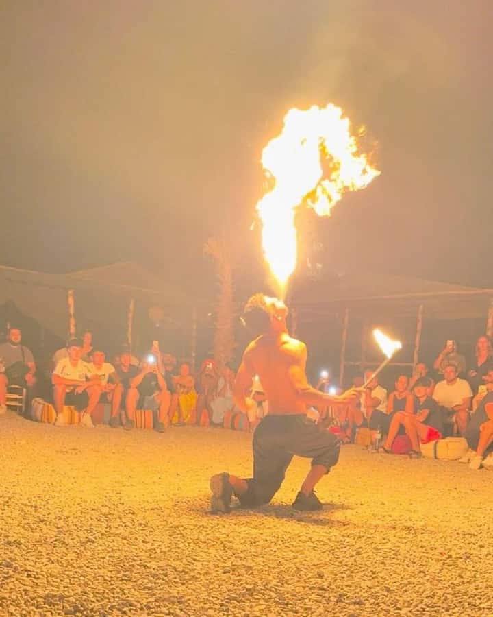From Marrakech: Camel, Quad Bike Tour, Sunset, Dinner & Show - The argan oil cooperative stop