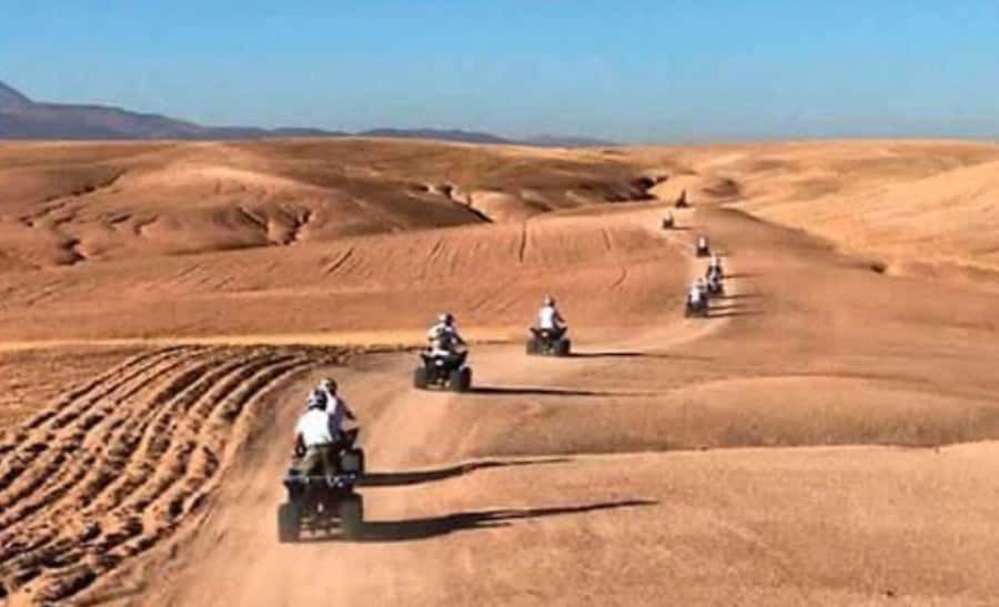From Marrakech: Camel, Quad Bike Tour, Sunset, Dinner & Show - Dinner under Berber-style tents