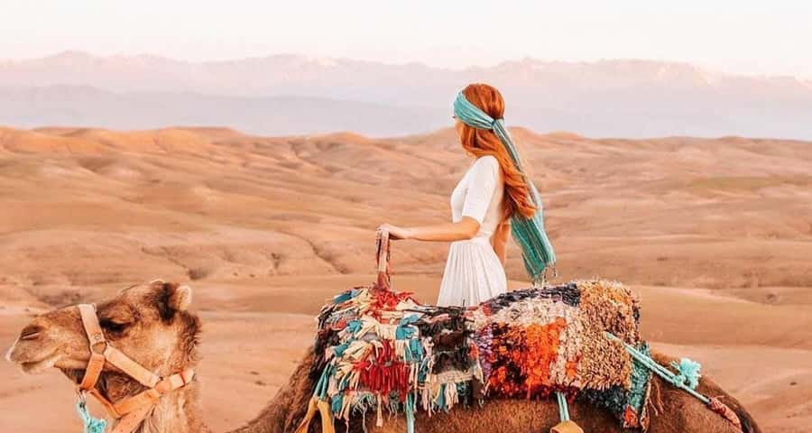 From Marrakech: Camel, Quad Bike Tour, Sunset, Dinner & Show - Guides make a real difference