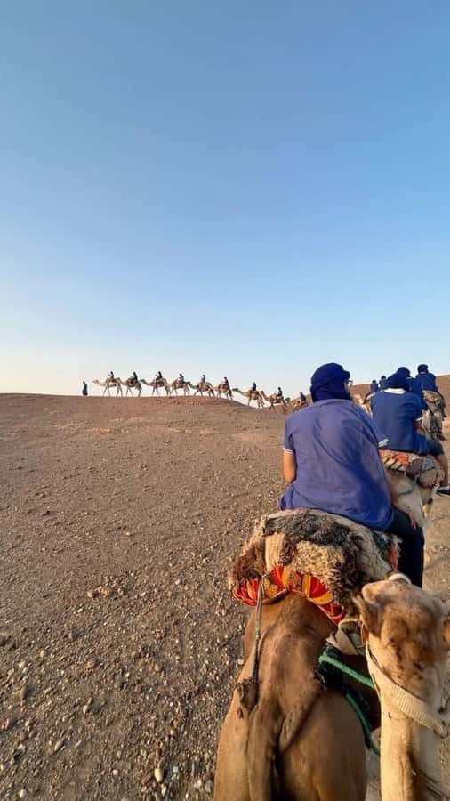 From Marrakech: Camel, Quad Bike Tour, Sunset, Dinner & Show - What $28 really gets you