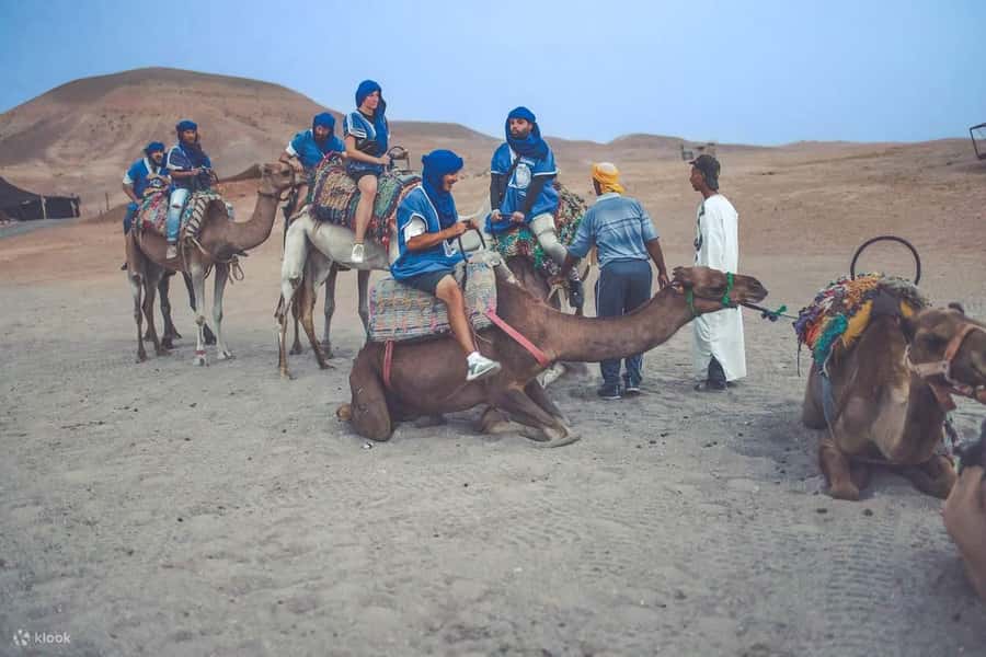 From Marrakech: Camel, Quad Bike Tour, Sunset, Dinner & Show - Who should book this evening