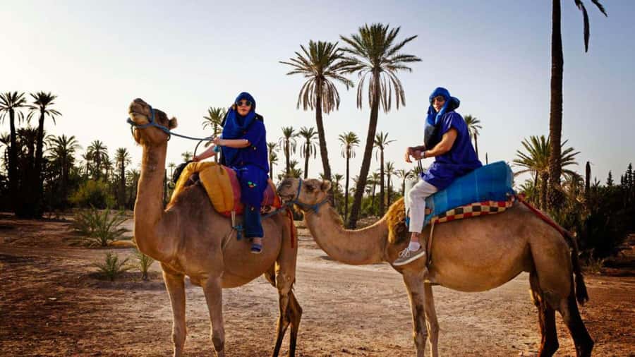 From Marrakech: Camel ride in the oasis palmeraie Grove - Key details to know before you book