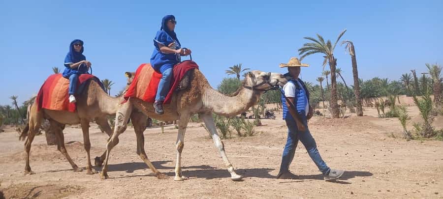 From Marrakech: Camel ride in the oasis palmeraie Grove - Leaving Marrakech for the Palmeraie