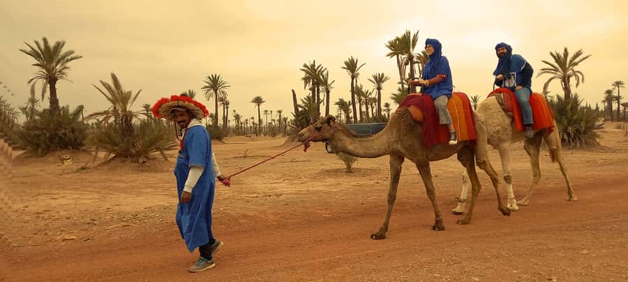 From Marrakech: Camel ride in the oasis palmeraie Grove - The Berber house and a slower cup of tea