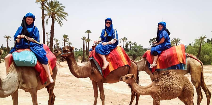 From Marrakech: Camel ride in the oasis palmeraie Grove - What $18 really buys you