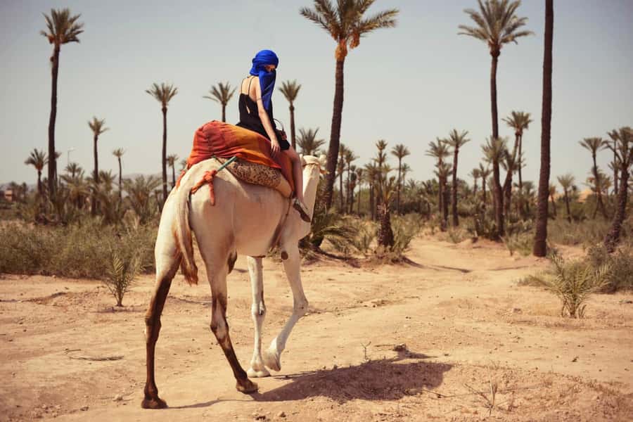 From Marrakech: Camel ride in the oasis palmeraie Grove - Who should book this Palmeraie experience?