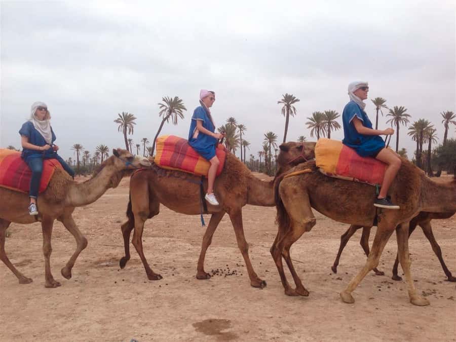 From Marrakech: Camel Ride, Quad Bike & Spa Full-Day Trip - What Makes This Marrakech Day Trip Worth Considering
