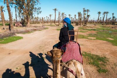 Camel Ride, Quad Bike & Spa Full-Day Trip