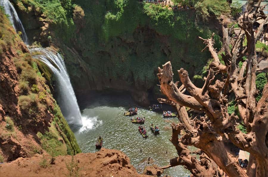 From Marrakech: Day Tour to Ouzoud Waterfalls - Timing, group comfort, and communication