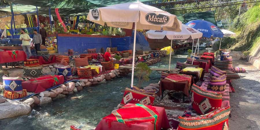 From Marrakech: Day Trip Ourika Valley, High Atlas Mountains - Seeing how argan oil is made