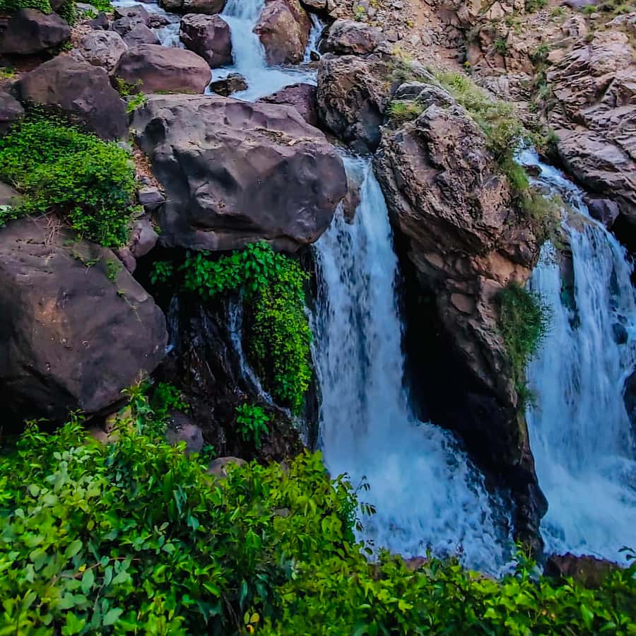 From Marrakech: Day Trip to Anima Garden and Imlil Valley - Key points to know before you book