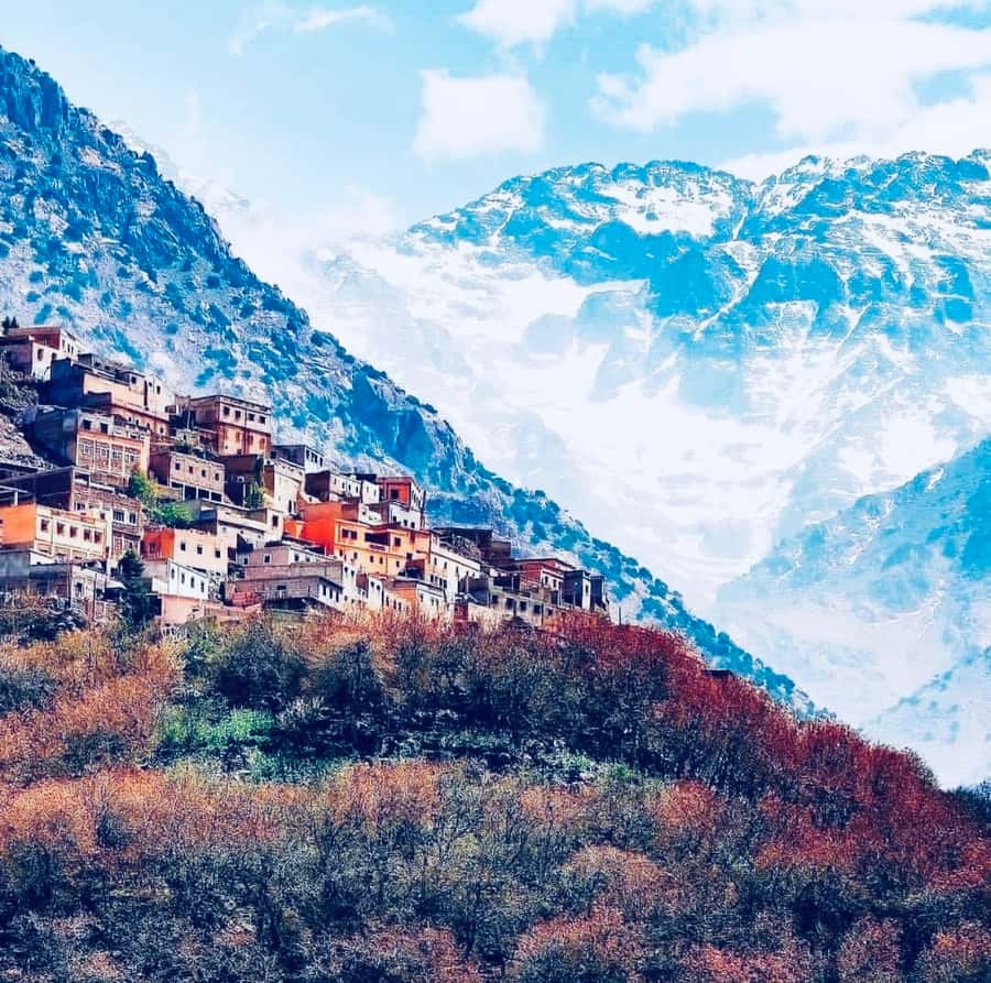From Marrakech: Day Trip to Anima Garden and Imlil Valley - Walking to the waterfall and Berber villages