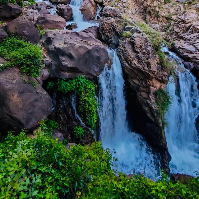 From Marrakech: Day Trip to Anima Garden and Imlil Valley - Guides, language, and the human side of the day