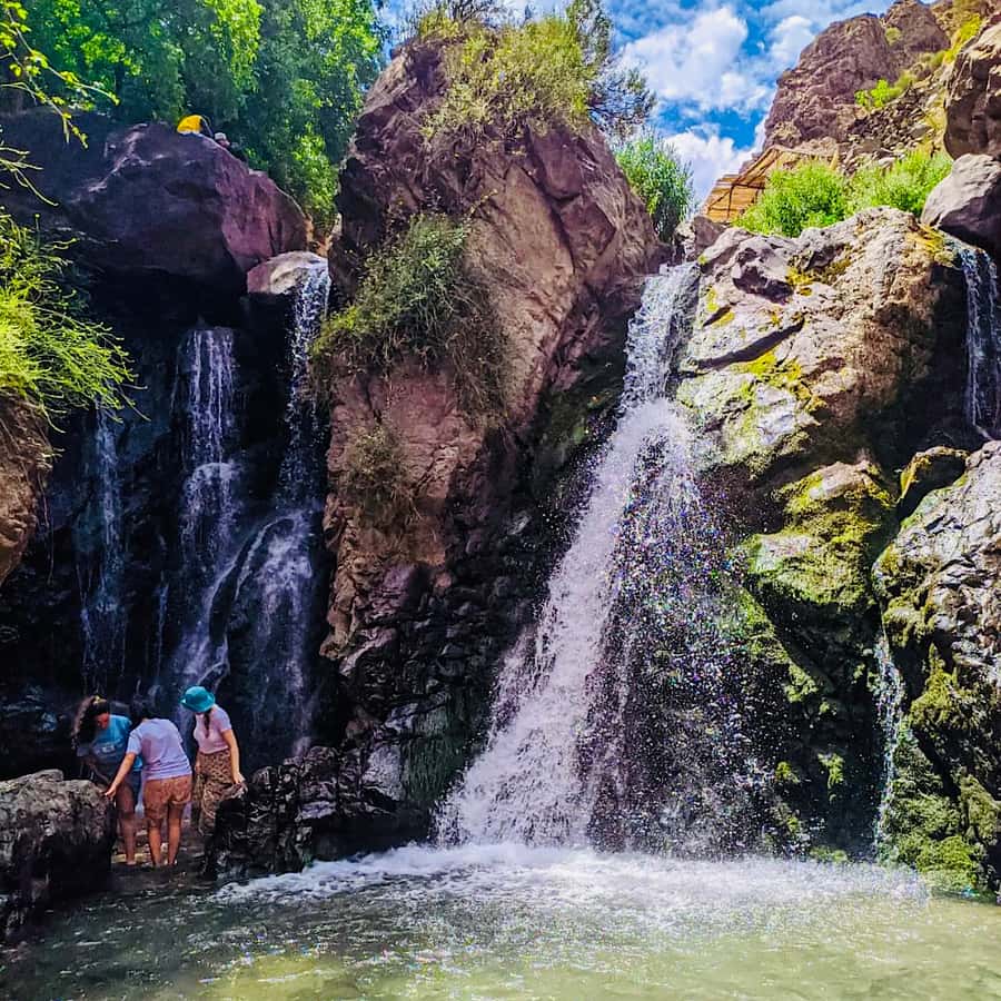 From Marrakech: Day Trip to Anima Garden and Imlil Valley - Should you book this Marrakech day trip?