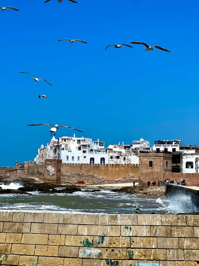 From Marrakech: Day Trip to Essaouira with Transfers - The argan cooperative near Ounagha