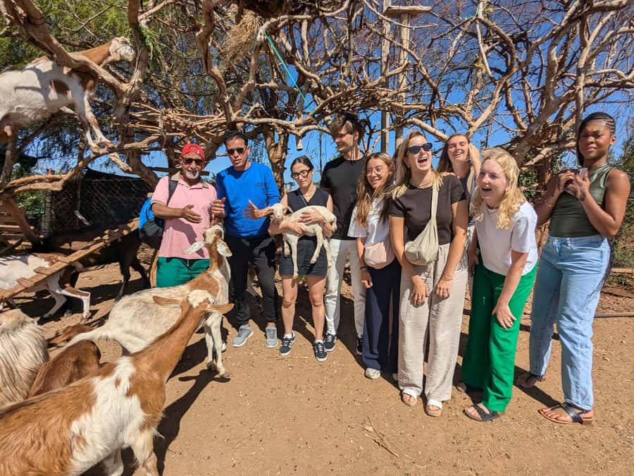 From Marrakech: Day Trip to Essaouira with Transfers - How the guide affects the day