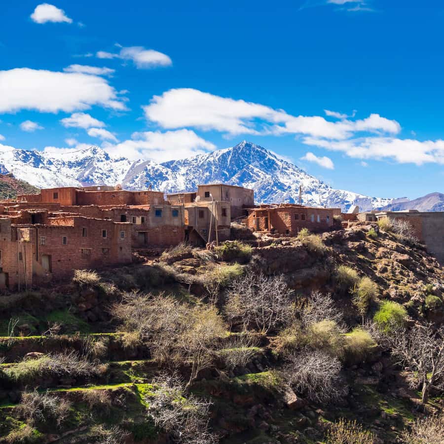 From Marrakech: Day Trip to Ourika Valley with Waterfalls - What the $9 price really offers