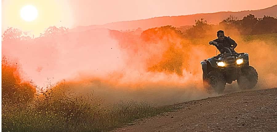From Marrakech: Dinner show in Agafay Desert & Sunset Quad - Guides who shape the experience