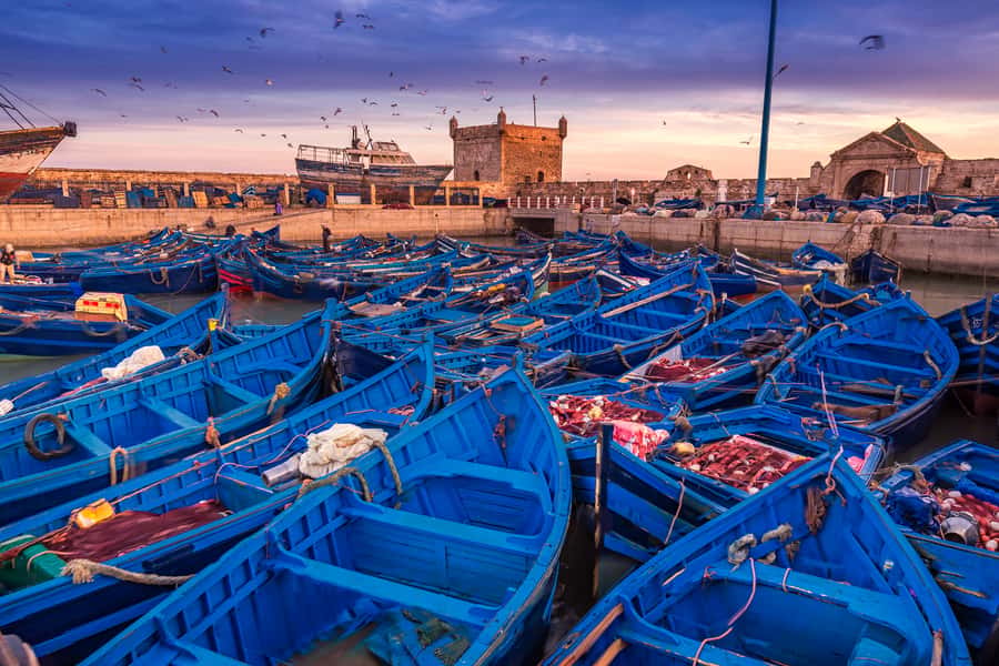 From Marrakech: Essaouira & Atlantic Coast Full-Day Trip - The fishing port and seafood lunch