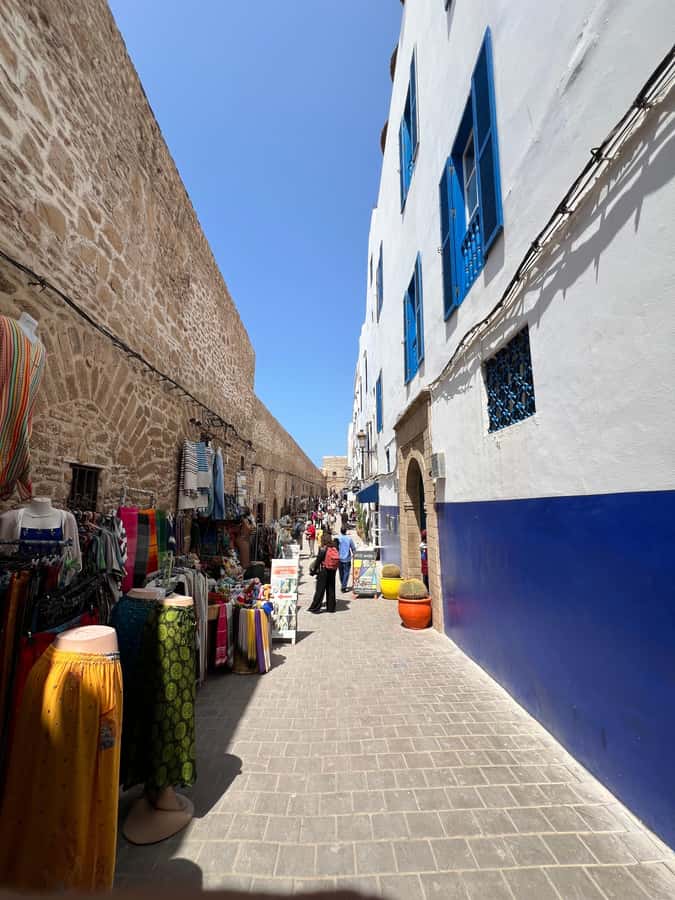 From Marrakech: Essaouira Coastal City Day Trip - The argan oil cooperative and roadside stops