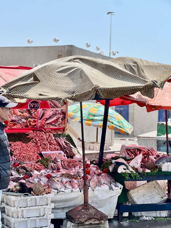 From Marrakech: Essaouira Coastal City Day Trip - Souks, silver, cloth, and a calmer shopping stop