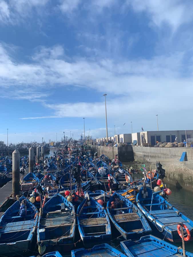 From Marrakech: Essaouira Coastal City Day Trip - Four hours to find your own Essaouira