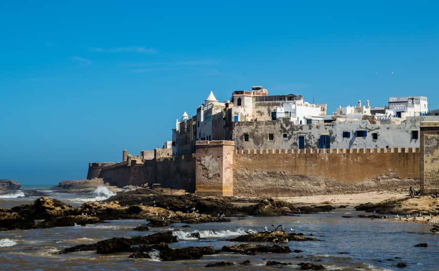 From Marrakech: Essaouira Coastal Escape with Lunch - Lunch near the harbor and time at the beach