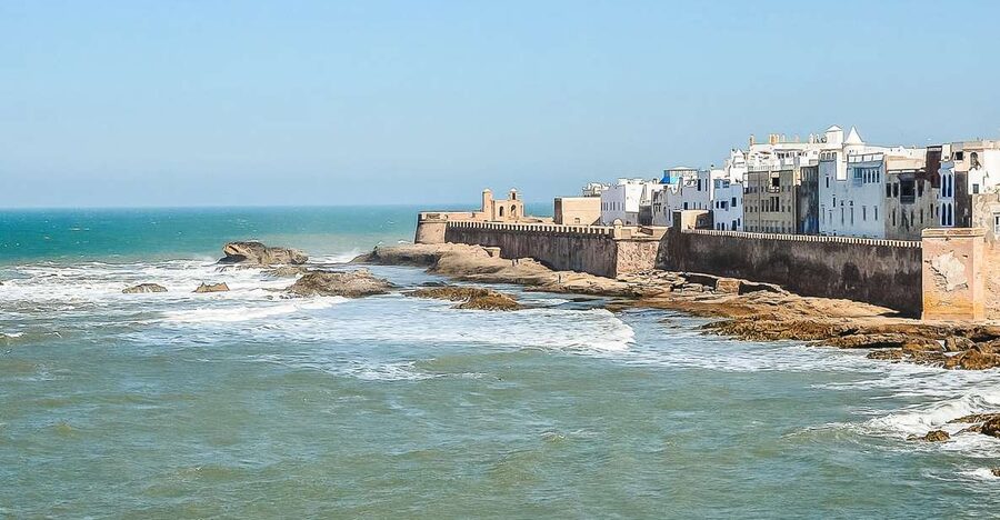 From Marrakech: Essaouira Day Tour with Optional Activities - Lunch by the port and the seafood question
