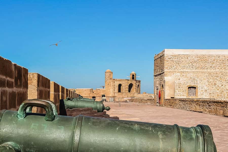 From Marrakech: Essaouira Day Tour with Optional Activities - What the $21 price really gives you