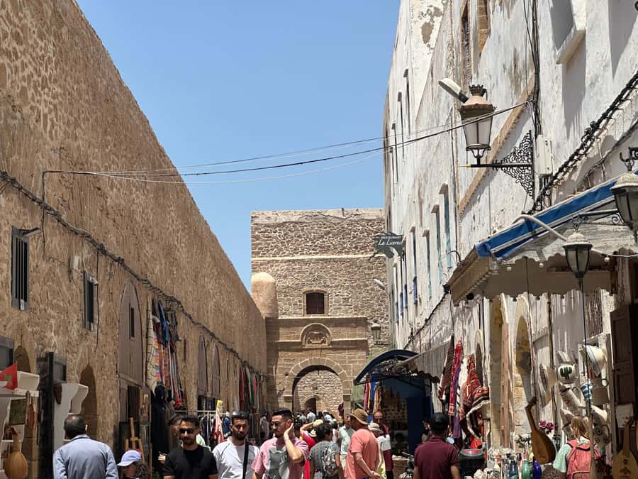 From Marrakech: Essaouira Day Trip with Beach Activities - The Port, Skala Cannons, and Fresh Seafood