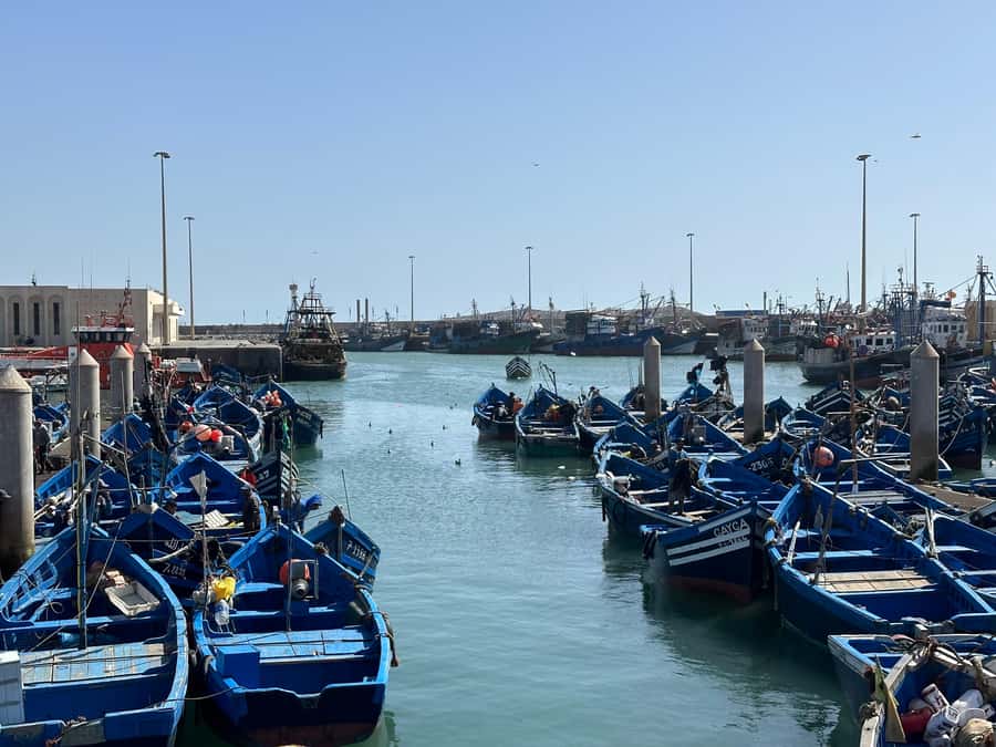 From Marrakech: Essaouira day Trip with camel, horse & quad - Why Essaouira makes a good break from Marrakech