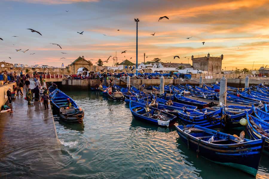 From Marrakech: Essaouira Day Trip with Hotel Pickup - What happens at the argan cooperative