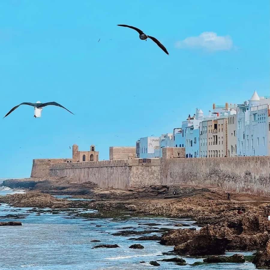 From Marrakech: Essaouira Full day trip, beach and History - Bronze Cannons Along the Atlantic Ramparts