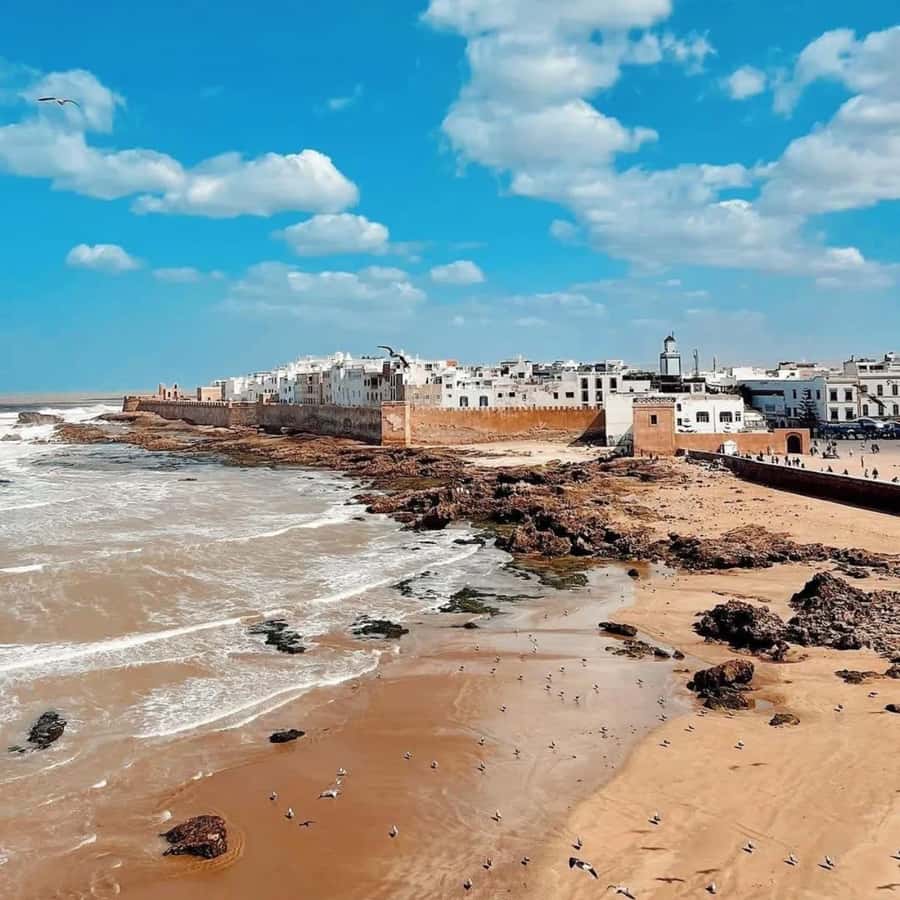 From Marrakech: Essaouira Full day trip, beach and History - Time for the Beach and a Slower Afternoon